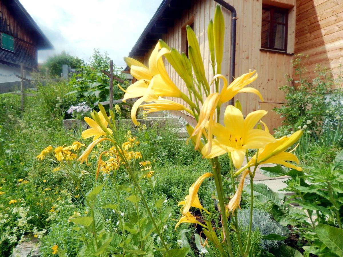 Berggasthof Sonne Allgaeu Sonthofen Zewnętrze zdjęcie