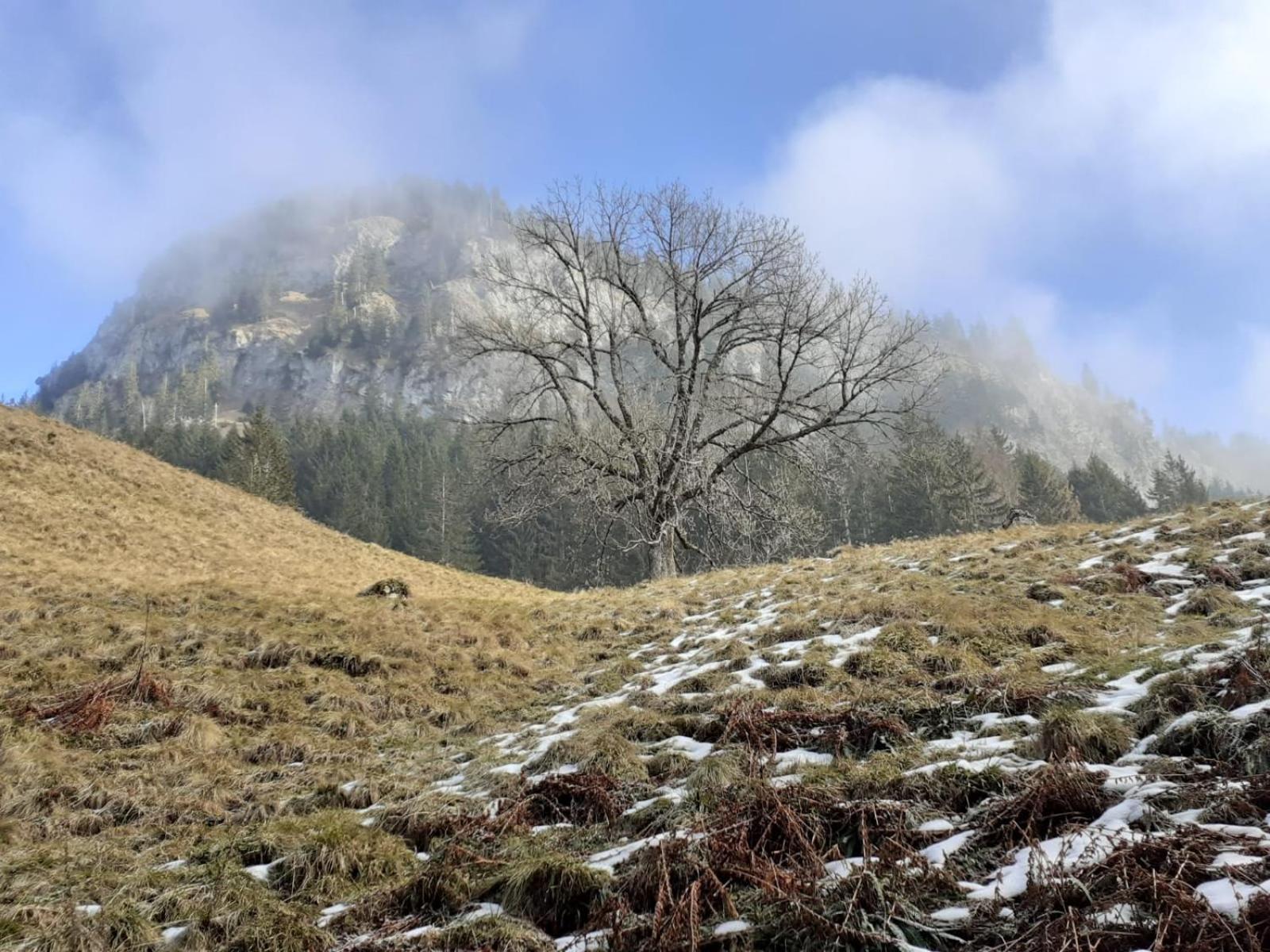 Berggasthof Sonne Allgaeu Sonthofen Zewnętrze zdjęcie